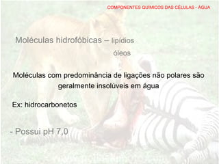 Moléculas hidrofóbicas – lipídios
óleos
COMPONENTES QUÍMICOS DAS CÉLULAS - ÁGUA
Ex: hidrocarbonetos
Moléculas com predominância de ligações não polares são
geralmente insolúveis em água
- Possui pH 7,0
 