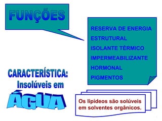 RESERVA DE ENERGIA
ESTRUTURAL
ISOLANTE TÉRMICO
IMPERMEABILIZANTE
HORMONAL
PIGMENTOS
Os lipídeos são solúveis
em solventes orgânicos.
 