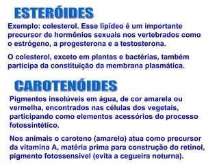 Exemplo: colesterol. Esse lipídeo é um importante
precursor de hormônios sexuais nos vertebrados como
o estrógeno, a progesterona e a testosterona.
O colesterol, exceto em plantas e bactérias, também
participa da constituição da membrana plasmática.
Pigmentos insolúveis em água, de cor amarela ou
vermelha, encontrados nas células dos vegetais,
participando como elementos acessórios do processo
fotossintético.
Nos animais o caroteno (amarelo) atua como precursor
da vitamina A, matéria prima para construção do retinol,
pigmento fotossensível (evita a cegueira noturna).
 
