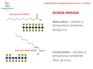 ÁCIDOS GRAXOS
Saturados – sólidos a
temperatura ambiente
Margarina
Insaturados - líquidos a
temperatura ambiente
Óleo de oliva
ácido graxo INSATURADO
ácido graxo SATURADO
COMPONENTES QUÍMICOS DAS CÉLULAS – LIPÍDIOS
 