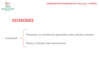 COMPONENTES QUÍMICOS DA S CÉLULAS – LIPÍDIOS
ESTERÓIDES
Presente na membrana plasmática das células animais
Reduz a fluidez das membranas
Colesterol
 