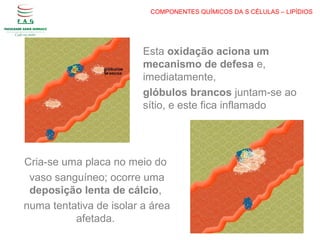 COMPONENTES QUÍMICOS DA S CÉLULAS – LIPÍDIOS
Esta oxidação aciona um
mecanismo de defesa e,
imediatamente,
glóbulos brancos juntam-se ao
sítio, e este fica inflamado
Cria-se uma placa no meio do
vaso sanguíneo; ocorre uma
deposição lenta de cálcio,
numa tentativa de isolar a área
afetada.
 