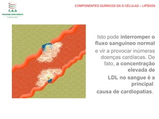 COMPONENTES QUÍMICOS DA S CÉLULAS – LIPÍDIOS
Isto pode interromper o
fluxo sanguíneo normal
e vir a provocar inúmeras
doenças cardíacas. De
fato, a concentração
elevada de
LDL no sangue é a
principal
causa de cardiopatias.
 