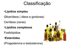 Classificação
•Lipídios simples
Glicerídeos ( óleos e gorduras)
Cerídeos (ceras)
•Lipídios complexos
Fosfolípidios
•Esteróides
(Progesterona e testosterona)
 