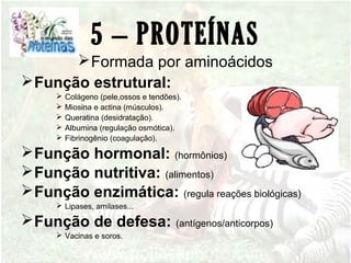 5 – PROTEÍNAS
Formada por aminoácidos
Função estrutural:
 Colágeno (pele,ossos e tendões).
 Miosina e actina (músculos).
 Queratina (desidratação).
 Albumina (regulação osmótica).
 Fibrinogênio (coagulação).
Função hormonal: (hormônios)
Função nutritiva: (alimentos)
Função enzimática: (regula reações biológicas)
 Lipases, amilases...
Função de defesa: (antígenos/anticorpos)
 Vacinas e soros.
 