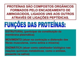 PROTEÍNAS SÃO COMPOSTOS ORGÂNICOS
FORMADOS PELO ENCADEAMENTO DE
AMINOÁCIDOS, LIGADOS UNS AOS OUTROS
ATRAVÉS DE LIGAÇÕES PEPTÍDICAS.
ESTRUTURAL (participar da constituição da
membrana plasmática)
MOVIMENTO (atuar na contração e distensão das
fibras musculares, como actina e miosina)
ENZIMÁTICA (atuar como catalisador biológico nas
reações químicas metabólicas, como a amilase,
presente na saliva)
 