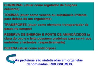 HORMONAL (atuar como regulador de funções
celulares)
TOXINAS (atuar como veneno ou substância irritante,
para defesa de um organismo)
TRANSPORTE (atuar como elemento transportador de
gases no sangue)
RESERVA DE ENERGIA E FONTE DE AMINOÁCIDOS (a
clara do ovo e o leite possuem proteínas para servir aos
embriões e lactentes, respectivamente)
DEFESA (atuar como anticorpos)
As proteínas são sintetizadas em organelas
denominadas RIBOSSOMOS.
 