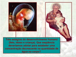 Três estágios do desenvolvimento humano
(feto, idoso e criança). Que seqüência
deveríamos adotar para estabeler uma
concentração decrescente na quantidade de
água no corpo?
 