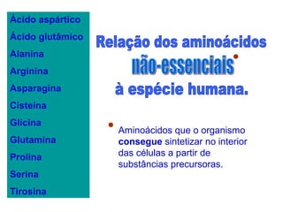 Ácido aspártico
Ácido glutâmico
Alanina
Arginina
Asparagina
Cisteína
Glicina
Glutamina
Prolina
Serina
Tirosina
Aminoácidos que o organismo
consegue sintetizar no interior
das células a partir de
substâncias precursoras.
 