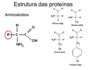 Estrutura das proteínas
Aminoácidos
 