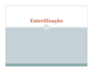 Esterilização
28
 