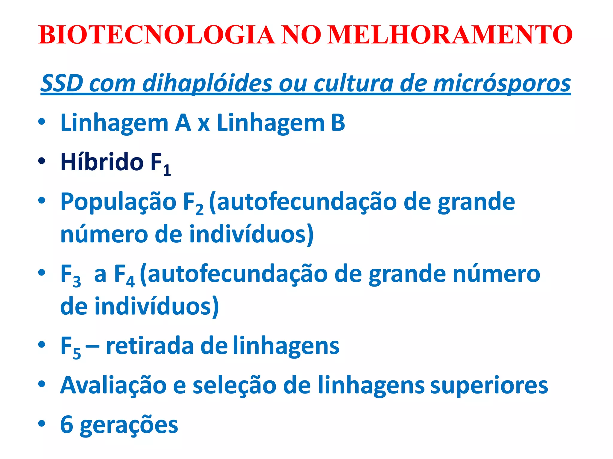 BIOTECNOLOGIA NO MELHORAMENTO
SSD com dihaplóides ou cultura de micrósporos
• Linhagem A x Linhagem B
• Híbrido F1
• População F2 (autofecundação de grande
número de indivíduos)
• F3 a F4 (autofecundação de grande número
de indivíduos)
• F5 – retirada delinhagens
• Avaliação e seleção de linhagens superiores
• 6 gerações
 
