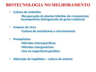 BIOTECNOLOGIA NO MELHORAMENTO
• Cultura de embriões
•Recuperação de plantas híbridas de cruzamentos
incompatíveis (introgressão de genes exóticos)
• Limpeza de virus
•Cultura de meristemas e microenxertia
• Protoplastos
•Híbridos interespecíficos
•Híbridos intergenéricos
•Uso na engenharia genética
• Obtenção de haplóides – cultura de anteras
 