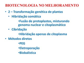 BIOTECNOLOGIA NO MELHORAMENTO
• 2 – Transformação genética de plantas
• Hibridação somática
•Fusão de protoplastos, misturando
genoma nuclear e citoplasmático
• Cibridação
•Hibridação apenas de citoplasma
• Métodos diretos
•PEG
•Eletroporação
•Biobalística
 
