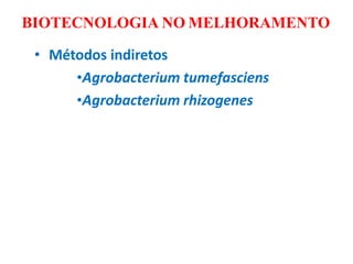 BIOTECNOLOGIA NO MELHORAMENTO
• Métodos indiretos
•Agrobacterium tumefasciens
•Agrobacterium rhizogenes
 