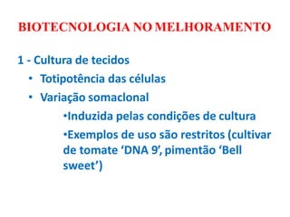BIOTECNOLOGIA NO MELHORAMENTO
1 - Cultura de tecidos
• Totipotência das células
• Variação somaclonal
•Induzida pelas condições de cultura
•Exemplos de uso são restritos (cultivar
de tomate ‘DNA 9’, pimentão ‘Bell
sweet’)
 