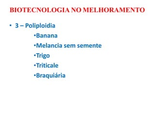 BIOTECNOLOGIA NO MELHORAMENTO
• 3 – Poliploidia
•Banana
•Melancia sem semente
•Trigo
•Triticale
•Braquiária
 