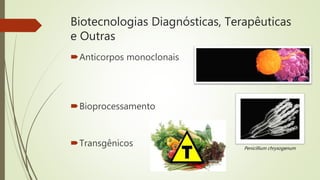 Biotecnologias Diagnósticas, Terapêuticas
e Outras
Anticorpos monoclonais
Bioprocessamento
Transgênicos Penicillium chrysogenum
 