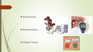  Biossensores
 Bioinformática
 Células Tronco
 