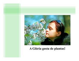 A Glória gosta de plantas!
 