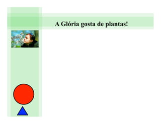 A Glória gosta de plantas!
 