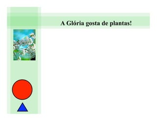 A Glória gosta de plantas!
 