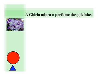 A Glória adora o perfume das glicínias.
 