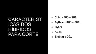 CARACTERÍST
ICAS DOS
HÍBRIDOS
PARA CORTE
o Cobb - 500 e 700
o AgRoss - 308 e 508
o Hybro
o Avian
o Embrapa-021
 