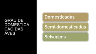 GRAU DE
DOMESTICA
ÇÃO DAS
AVES
Domesticadas
Semi-domesticadas
Selvagens
 