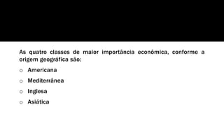 As quatro classes de maior importância econômica, conforme a
origem geográfica são:
o Americana
o Mediterrânea
o Inglesa
o Asiática
 