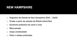 NEW HAMPSHIRE
o Originária do Estado de New Hampshire (EUA – 1915)
o Criada a partir da seleção do Rhode Island Red
o Excelente produtora de carne e ovos
o Meio pesada
o Corpo arredondado
o Peito e cabeça profundos
 