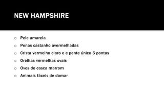 NEW HAMPSHIRE
o Pele amarela
o Penas castanho avermelhadas
o Crista vermelho claro e e pente único 5 pontas
o Orelhas vermelhas ovais
o Ovos de casca marrom
o Animais fáceis de domar
 