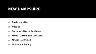 NEW HAMPSHIRE
o Dupla aptidão
o Rústica
o Baixa incidência de choco
o Produz 180 a 200 ovos/ano
o Macho - 4,250kg
o Fêmea - 3,250kg
 