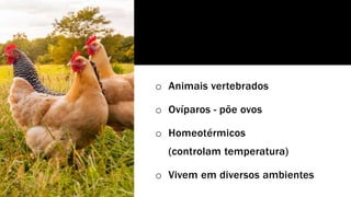 o Animais vertebrados
o Ovíparos - põe ovos
o Homeotérmicos
(controlam temperatura)
o Vivem em diversos ambientes
 
