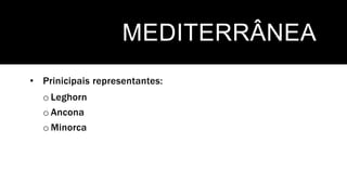 MEDITERRÂNEA
• Prinicipais representantes:
o Leghorn
o Ancona
o Minorca
 