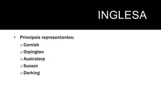 INGLESA
• Principais representantes:
o Cornish
o Orpington
o Australorp
o Sussex
o Dorking
 