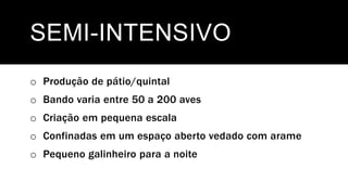 SEMI-INTENSIVO
o Produção de pátio/quintal
o Bando varia entre 50 a 200 aves
o Criação em pequena escala
o Confinadas em um espaço aberto vedado com arame
o Pequeno galinheiro para a noite
 