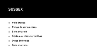 SUSSEX
o Pele branca
o Penas de várias cores
o Bico amarelo
o Crista e orelhas vermelhas
o Olhos coloridos
o Ovos marrons
 