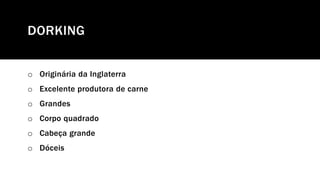 DORKING
o Originária da Inglaterra
o Excelente produtora de carne
o Grandes
o Corpo quadrado
o Cabeça grande
o Dóceis
 