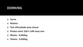 DORKING
o Carne
o Rústica
o Tem dificuldade para chocar
o Produz entre 120 e 140 ovos/ano
o Macho - 4,000kg
o Fêmea - 3,000kg
 