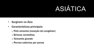 ASIÁTICA
• Surgiram na Ásia
• Características principais:
o Pele amarela (exceção da Langshan)
o Brincos vermelhos
o Tamanho grande
o Pernas cobertas por penas
 