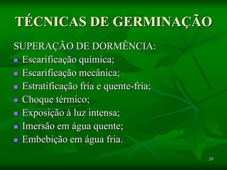 20
TÉCNICAS DE GERMINAÇÃO
SUPERAÇÃO DE DORMÊNCIA:
 Escarificação química;
 Escarificação mecânica;
 Estratificação fria e quente-fria;
 Choque térmico;
 Exposição à luz intensa;
 Imersão em água quente;
 Embebição em água fria.
 