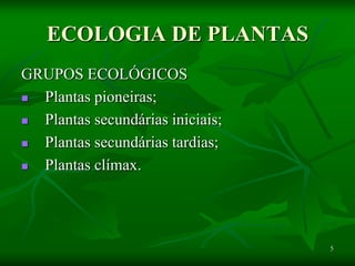 5
ECOLOGIA DE PLANTAS
GRUPOS ECOLÓGICOS
 Plantas pioneiras;
 Plantas secundárias iniciais;
 Plantas secundárias tardias;
 Plantas clímax.
 