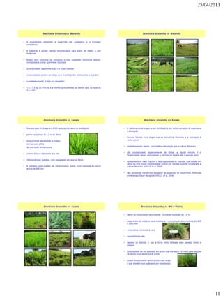25/04/2013
11
• é considerada resistente a cigarrinha das pastagens e a formigas
cortadeiras
• é tolerante à acidez, sendo recomendada para solos de média a alta
fertilidade
• possui bom potencial de produção e boa qualidade nutricional quando
comparada a outras gramíneas tropicais
• produtividades superiores a 20 t já foram obtidas
• consorciações podem ser feitas com Arachis pintoi, estilosantes e puerária
• o estabelecimento é feito por sementes
• 1,6 a 2,5 kg de SPV/ha e a melhor profundidade de plantio está na faixa de
2 a 4 cm.
Brachiaria brizantha cv. Marandu Brachiaria brizantha cv. Marandu
• liberada pela Embrapa em 2003 após quinze anos de avaliações
• planta cespitosa, de 1,5 m de altura
• possui folhas lanceoladas e longas,
com poucos pêlos
de coloração verde-escura
• colmos finos e radicantes nos nós
• Inflorescências grandes, com espiguetas em uma só fileira
• é indicada para regiões de clima tropical úmido, com precipitação anual
acima de 800 mm
Brachiaria brizantha cv. Xaraés
• é medianamente exigente em fertilidade e em solos drenados é responsiva
à adubação
• lâminas foliares mais largas que as da cultivar Marandu e a coloração é
verde-escura
• estabelecimento rápido, com melhor rebrotação que a cultivar Marandu
• alta produtividade, especialmente de folhas, a rápida rebrota e o
florescimento tardio, prolongando o período de pastejo até o período seco
• apresenta bom valor nutritivo e alta capacidade de suporte, que resulta em
cerca de 20% maior produtividade animal por hectare quando comparada a
cultivar Marandu (VALLE et al. 2004)
• não apresenta resistência desejável às espécies de cigarrinhas Notozulia
entreriana e Deois flavopicta (VALLE et al. 2004)
Brachiaria brizantha cv. Xaraés
Brachiaria brizantha cv. Xaraés
• hábito de crescimento decumbente, formando touceiras de 1,6 m
• exige solos de média a baixa fertilidade e precipitação pluviométrica de 800
a 3000 mm
• possui boa tolerância à seca
• digestibilidade alta
• rapidez na rebrota, o que a torna mais indicada para pastejo direto e
silagem
• possibilidade de ser plantada em solos mal drenados - é ideal para regiões
de climas tropical e tropical úmido
• possui florescimento tardio e ciclo mais longo
o que mantém sua qualidade por mais tempo
Brachiaria brizantha cv. MG-5 Vitória
 
