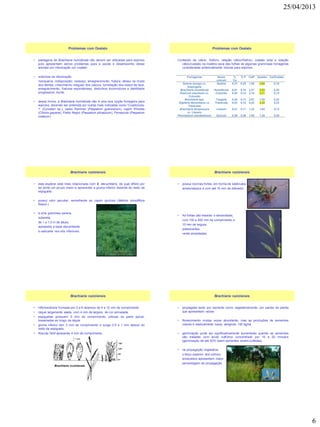 25/04/2013
6
• pastagens de Brachiaria humidicola não devem ser utilizadas para eqüinos
pois apresentam sérios problemas para a saúde e desempenho desse
animais por intoxicação por oxalato
• sintomas da intoxicação:
manqueira, indisposição, cansaço, emagrecimento, fratura, atraso na muda
dos dentes, crescimento irregular dos cascos, tumefação dos ossos da face,
emagrecimento, fraturas espontâneas, distúrbios locomotores e debilidade
progressiva, morte.
• dessa forma, a Brachiaria humidicola não é uma boa opção forrageira para
eqüinos, devendo ser preterida por outras mais indicadas como 'Coastcross-
1' (Cynodon sp.), pasto Ramirez (Paspalum guenoarum), capim Rhodes
(Chloris gayana), Pasto Negro (Paspalum plicatulum), Pensacola (Paspalum
notatum).
Problemas com Oxalato
Conteúdo de cálcio, fósforo, relação cálcio/fósforo, oxalato total e relação
cálcio/oxalato na matéria seca das folhas de algumas gramíneas forrageiras
consideradas potencialmente tóxicas para eqüinos.
Problemas com Oxalato
Forrageiras Nome
comum
%
Ca
% P Ca/P Oxalato Ca/Oxalato
Setaria anceps cv.
Kazungula
Setária 0,27 0,25 1,08 2,80 0,10
Brachiaria humidicola Humidícola 0,41 0,18 2,27 2,85 0,23
Panicum maximum cv.
Colonião
Colonião 0,30 0,14 2,14 2,21 0,13
Brachiaria spp. Tangola 0,34 0,13 2,61 1,55 0,22
Digitaria decumbens cv.
Transvala
Transvala 0,53 0,12 4,42 2,30 0,23
Brachiaria dictyoneura
cv. Llanero
Llanero 0,21 0,17 1,23 1,62 0,13
Pennisetum clandestinum Quicuio 0,36 0,36 1,00 1,30 0,28
• esta espécie está mais relacionada com B. decumbens, da qual difere por
ter porte um pouco maior e apresentar a gluma inferior distante do resto da
espigueta
• possui odor peculiar, semelhante ao capim gordura (Melinis minutiflora
Beauv.)
• é uma gramínea perene,
subereta,
de 1 a 1,5 m de altura,
apresenta a base decumbente
e radicante nos nós inferiores
Brachiaria ruziziensis
• possui rizomas fortes, em forma de tubérculos
arredondados e com até 15 mm de diâmetro
• As folhas são lineares e lanceoladas,
com 100 a 200 mm de comprimento e
15 mm de largura,
pubescentes,
verde amareladas
Brachiaria ruziziensis
• Inflorescência formada por 3 a 6 rácemos de 4 a 10 mm de comprimento
• ráquis largamente alada, com 4 mm de largura, de cor arroxeada
• espiguetas possuem 5 mm de comprimento, pilosas na parte apical,
bisseriadas ao longo da ráquis
• gluma inferior tem 3 mm de comprimento e surge 0,5 a 1 mm abaixo do
resto da espigueta
• flósculo fértil apresenta 4 mm de comprimento.
Brachiaria ruziziensis
• propagada tanto por semente como vegetativamente, por partes da planta
que apresentam raízes
• florescimento muitas vezes abundante, mas as produções de sementes
viáveis é relativamente baixa, atingindo 100 kg/há
• germinação pode ser significativamente aumentada quando as sementes
são tratadas com ácido sulfúrico concentrado por 15 a 20 minutos
(germinação de até 50% dasm sementes recém-colhidas).
• na propagação vegetativa,
o terço superior dos colmos
enraizados apresentam maior
percentagem de propagação
Brachiaria ruziziensis
 