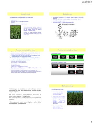25/04/2013
7
Brachiaria radicans ou arrecta (Napper) ou Tanner Grass
• espécie perene
• colmos de 1,20 m ou mais de comprimento
• subereta
• fortemente radicante nos nós inferiores
Brachiaria arrecta
• folhas lanceoladas, de base cordiforme,
de 70 a 150 mm de comprimento e 12 a 25
mm de largura, brilhante de aspecto
suculento e cor verde escura
• nós de cor verde amarelada, salientes,
sem pelos e quando em contato com o solo
emitem raízes.
• inflorescência formada por 6 a 12 racemos, sendo os basais de 40 a 80 mm
de largura
• Espiguetas sub-sésseis, ovadas com 4 mm de comprimento, glabras e
bisseriadas ao longo da ráquis
• Sementes inférteis, e a ráquis é destituída de pelos.
Brachiaria arrecta
• A intoxicação sempre foi atribuída ao nitrato, mas o nível tóxico de nitrato aos
animais está associado ao tipo de forragens e concentrações altas de nitrato em
forragens são necessárias para provocar intoxicação.
• O princípio tóxico ainda não é bem definido, mas altos níveis de nitrato foram
encontrados na planta e no soro de animais infectados.
• Foi levantada à hipótese de que há presença de S-metilcisteína sulfóxido, um
composto não tóxico que em contato com os microrganismos do rumem se
transforma em Dimetilsulfeto, que causa hemólise.
• a toxicidade varia de acordo com fatores:
taxa e quantidade de ingestão da forragem;
tipo de forragem;
nível de energia da dieta;
condição geral de saúde do animal e gestação.
• Wright & Davidson (1964) citaram que níveis de 3.400 a 4.500 ppm de nitrato são
potencialmente tóxicos para bovinos
• o possível tratamento é a remoção do animal da área contaminada, com
fornecimento de suplemento energético para estimular microrganismos do rúmen a
usarem o nitrato e injeção intravenosa de solução de azul de metileno.
Problemas com intoxicação por nitrato
Em condições normais:
Em condições de excesso de nitrato:
Problemas com intoxicação por nitrato
Nitrato em
forragens
Nitrito no
rúmen
Amônia no
rúmen
Proteína
microbiana
no rúmen
Absorção
de nitrito
no sangue
Methemoglobina
Insuficiência
de oxigênio
Morte
do animal
Excesso de
nitrato em
forragens
Acúmulo
de nitrito
no rúmen
•A intoxicação se caracteriza por uma coloração marrom-
avermelhada da urina, andar desequilibrado, mucosas pálidas e
micções freqüentes.
•Há anemia hemolítica e metemoglobinemia, elevado teor de
nitrito no soro sanguíneo e hemoglobinúria.
•Na macroscopia nota-se tumefação dos rins e incoagulabilidade
sanguínea.
•Microscopicamente nota-se necrose hepática e nefrose difusa
acompanhada de gotículas hialinas.
Brachiaria decumbens (Stapf )
• forma relvado com folhas
junto ao solo e é bastante
procurada pelo gado
• pode suportar uma pressão de
pastejo considerável, pois em
Uganda, cargas animais
pesadas converteram
pastagens nativas em
pastagens dominadas por B.
decumbens
• dessa forma, constitui um
capim ideal para o
abafamento de invasoras.
Brachiaria decumbens
 