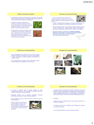 25/04/2013
9
• os experimentos realizados no IPEAN indicaram que ambas as brachiarias
(IPEAN e Basilisk) não produzem quantidades satisfatórias de forragem em
solos com teores baixos de fósforo (P) e potássio (K)
• em relação ao manejo e à persistência da
forrageira, as informações disponíveis mostram
que a B. decumbens é mais persistente sob cargas
animais mais pesadas e a níveis mais baixos
de fósforo, que muitas gramíneas tropicais
• nos experimentos conduzidos em Campo Grande
no CNPGado de Corte, durante a estação seca
(junho a setembro) pode-se verificar que a carga
animal mais elevada de 2,5 novilhas/ha foi
perfeitamente suportada pela pastagem sem que
se observasse danos as plantas.
Brachiaria decumbens cv. Basilisk
• esporos do fungo Pithomyces chartarum, na
presença de umidade, se desenvolvem e tornam-se
potenciais agentes de problemas hepáticos em bovinos
e ovinos
• o fungo é responsável pela produção da micotoxina esporidesmina, que
ingerida provoca lesões nos ductos biliares, prejudicando o fluxo da bile
• paralela à doença hepática, a micotoxina esporidesmina também é a causa
de uma dermatite, que provoca lesões cutâneas semelhantes a
queimaduras, especialmente nas orelhas, flanco, base da cauda e glúteos.
• Atualmente relaciona-se os episódios com saponinas esteriodais
litogênicas de B. Decumbens . Sais insolúveis sob forma de cristais de
glicuronídeos de epismilagenina e episarsasapogenina
nas células hepáticas e ductos biliares
Problemas com Fotossensibilização
• com a impossibilidade de ser eliminado junto com a bile, o pigmento
filoeritrina, resultante do metabolismo normal da clorofila presente
no capim, se acumula na corrente sangüínea, principalmente na
circulação cutânea.
• por ser fotossensível, ao receber luz solar, esse pigmento reage
fotoquimicamente e libera substâncias nocivas à derme.
Problemas com Fotossensibilização Problemas com Fotossensibilização
• no Brasil, os primeiros casos da doença surgiram em 1975,
coincidentemente a partir do início do pastejo em Brachiaria decumbens,
cultivada com sementes de origem australiana
• suspeita-se, portanto, que as sementes importadas estivessem
contaminadas com esporos do fungo Pithomyces chartarum
• são as regiões de cerrado os locais onde mais se observam casos de
fotossensibilização
• nelas, em razão dos solos arenosos e
de baixa fertilidade, nos quais outros
tipos de pastagens são difíceis de
serem cultivados, a Brachiaria decumbens
se desenvolveu e foi bem aceita pelos
pecuaristas.
Problemas com Fotossensibilização
• o controle da doença se dá através de práticas de manejo dos animais nas
pastagens, visando a manutenção do porte baixo das forrageiras (abaixo de
40 cm de altura), impedindo assim o florescimento e o sombreamento,
fatores responsáveis pelo acúmulo de material vegetativo senescente, na
parte basal das plantas, substrato ideal para intensa esporulação do fungo
• Tratamento:
Proteger o animal da incidência direta de raios solares, mantendo-o em
áreas bem sombreadas;
Em seguida deve-se instituir o tratamento tópico das lesões com soluções
ou pomadas anti-sépticas;
O uso de protetores hepáticos, porém sua eficácia é duvidosa;
Problemas com Fotossensibilização
 