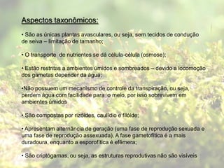 Aspectos taxonômicos:
• São as únicas plantas avasculares, ou seja, sem tecidos de condução
de seiva – limitação de tamanho;

• O transporte de nutrientes se dá célula-célula (osmose);

• Estão restritas a ambientes úmidos e sombreados – devido a locomoção
dos gametas depender da água;

•Não possuem um mecanismo de controle da transpiração, ou seja,
perdem água com facilidade para o meio, por isso sobrevivem em
ambientes úmidos

• São compostas por rizóides, caulídio e filóide;

• Apresentam alternância de geração (uma fase de reprodução sexuada e
uma fase de reprodução assexuada). A fase gametofítica é a mais
duradoura, enquanto a esporofítica é efêmera;

• São criptógamas, ou seja, as estruturas reprodutivas não são visíveis
 
