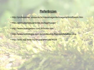 Referências
• http://professores.unisanta.br/maramagenta/Imagens/briofitasim.htm

• http://www.plantasyjardines.es/tag/musgo/

• http://www.biologados.com.br/index.htm

• http://www.sobiologia.com.br/conteudos/Reinos4/briofitas.php

• http://enfo.agt.bme.hu/drupal/en/node/4926
 