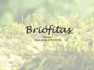 Briófitas
        -Plantae –
 (Aula do dia 21/04/2012)
 